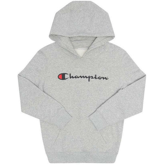 Champion Script Hoodie Youth