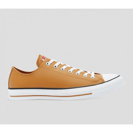 Converse Chuck Taylor All Star Summer Daze Low Top