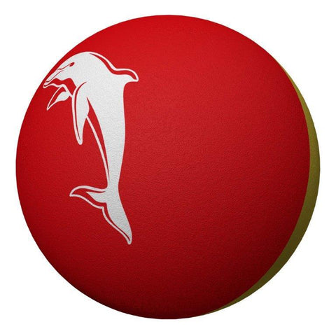 Dolphins Hi Bounce Ball  Dolphins Hi Bounce Ball