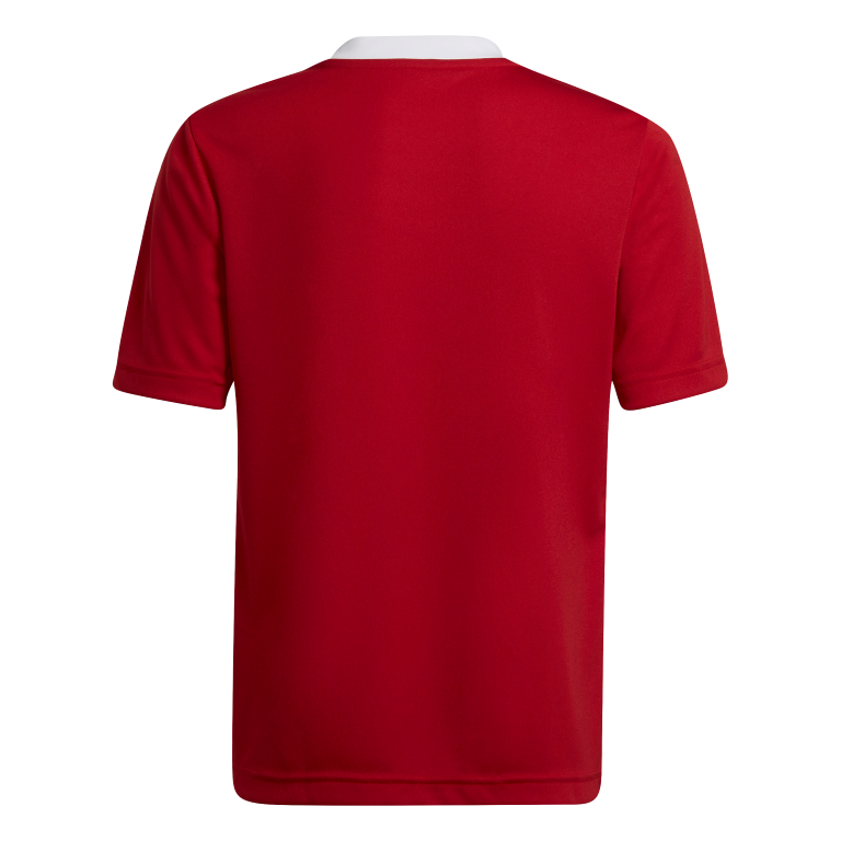 Entrada 22 Jersey 1112 / Team Power Red 2