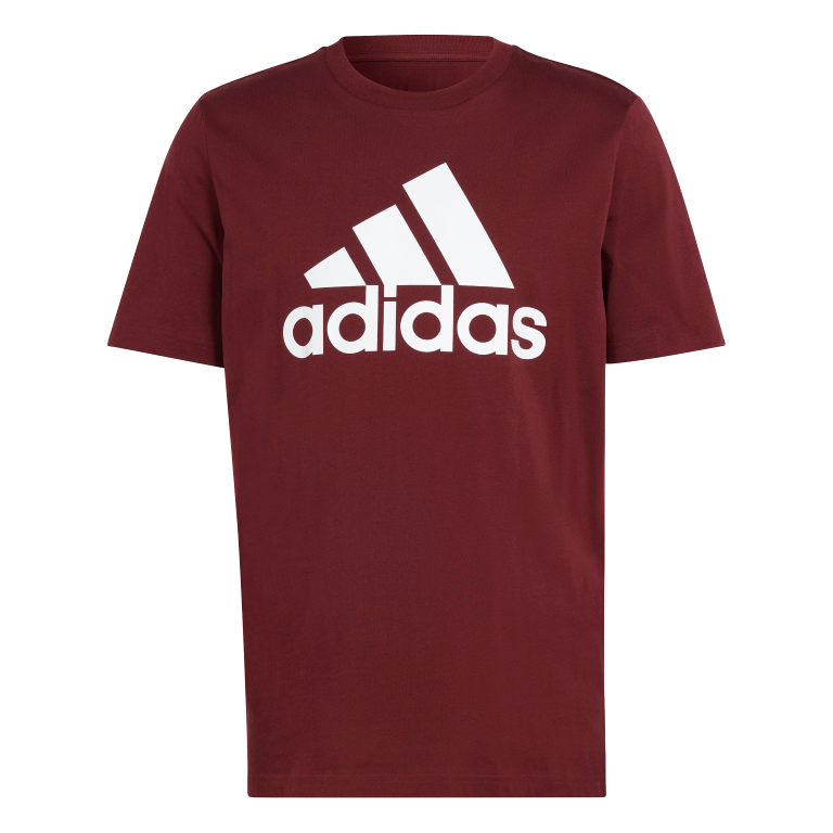 Essentials Single Jersey Big Logo T-Shirt 2XL / Shadow Red
