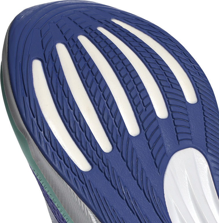 Supernova Stride Running Shoes 5 / Cobalt Blue/Zero Met./Purple Tint