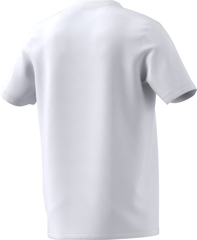 Collegiate Graphic T-Shirt 2XL / White