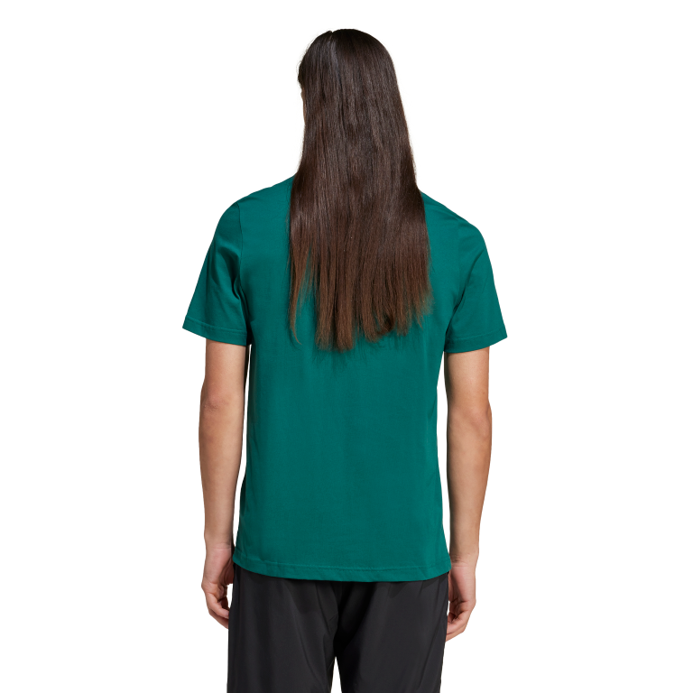 Collegiate Graphic T-Shirt 2XL / Collegiate Green
