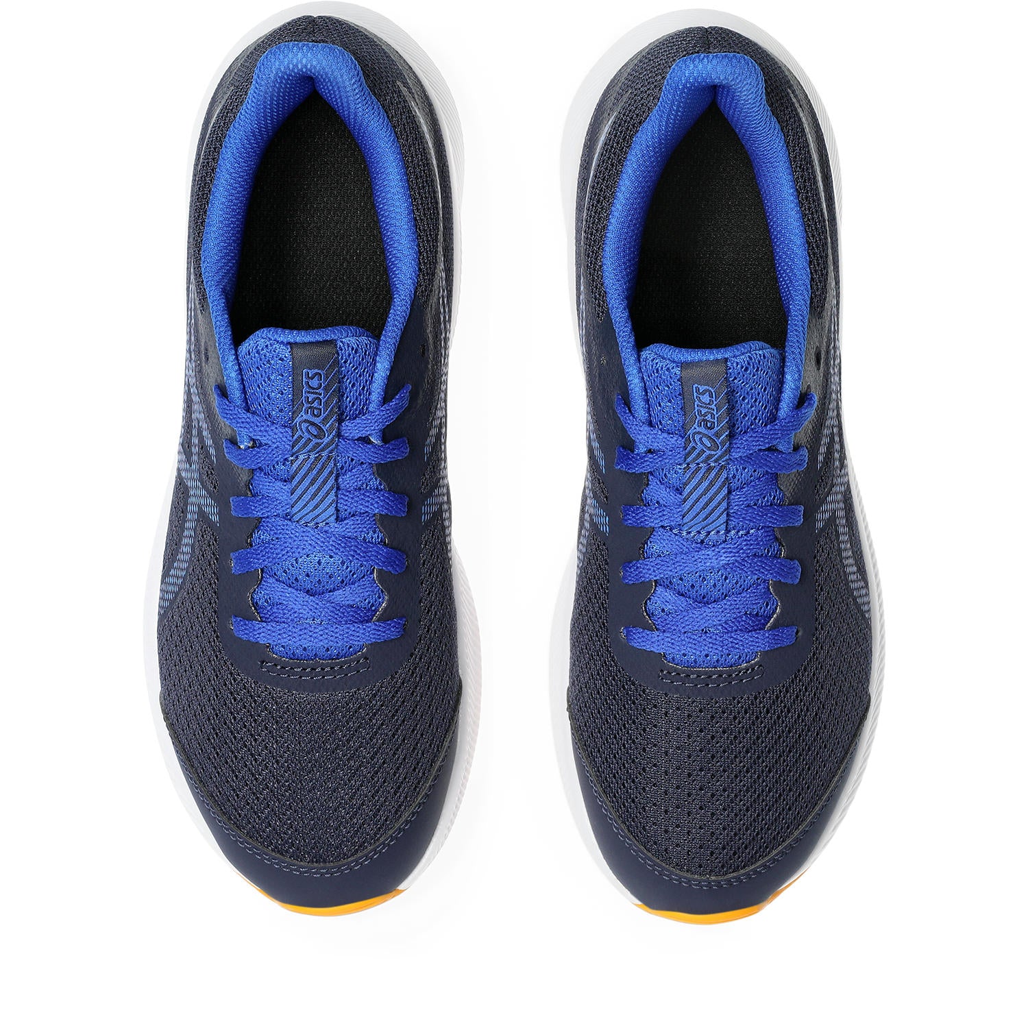 PATRIOT 13 GS 4 / Midnight/Blue Coast