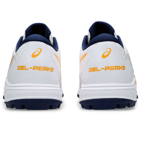 GEL-PEAKE 2