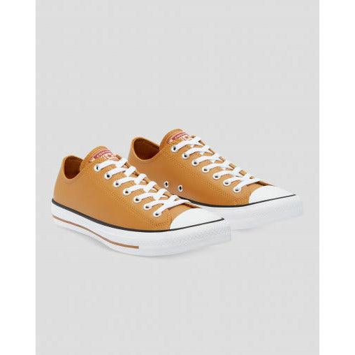 Converse Chuck Taylor All Star Summer Daze Low Top 