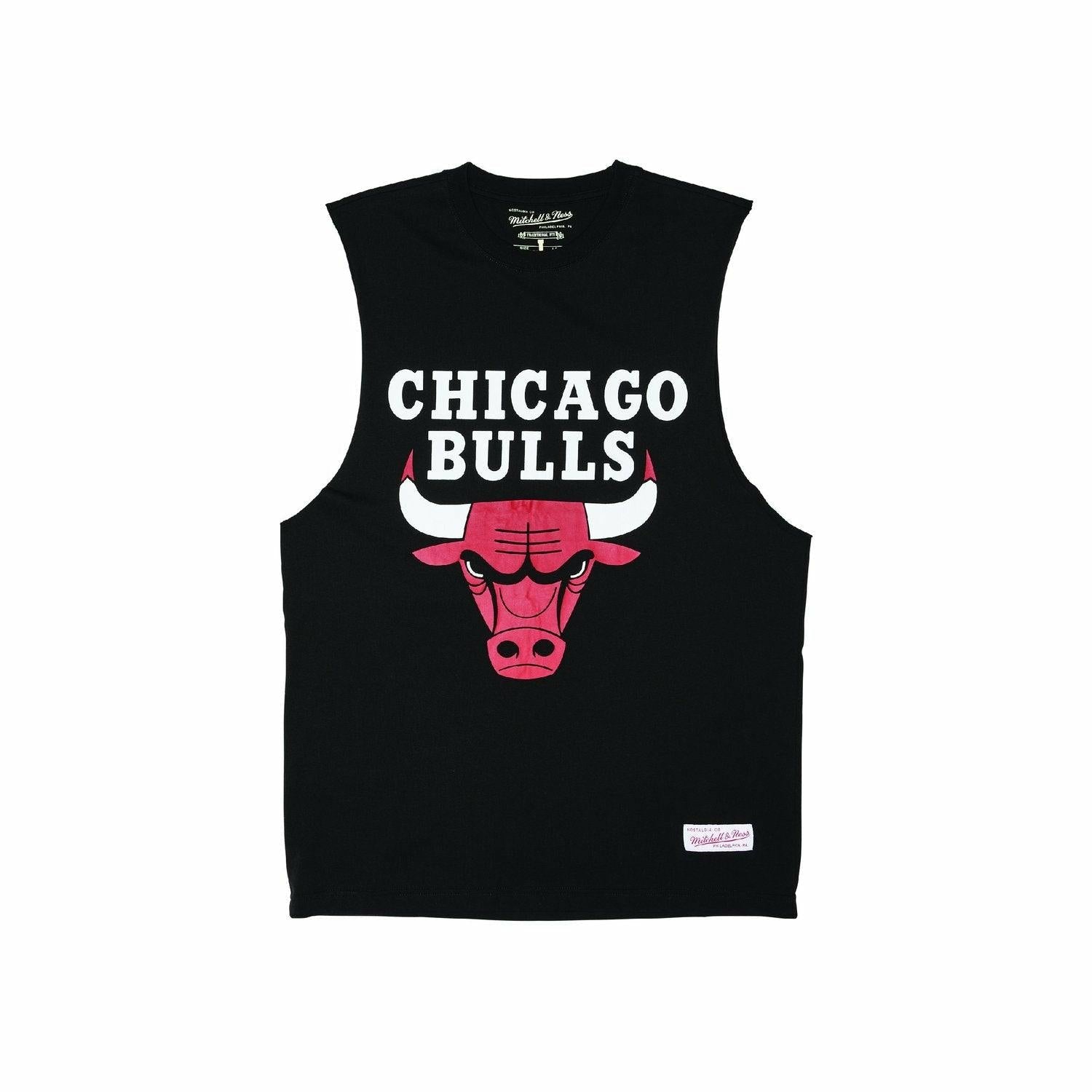 retro bulls